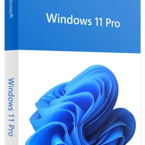 imagen windows 11 pro